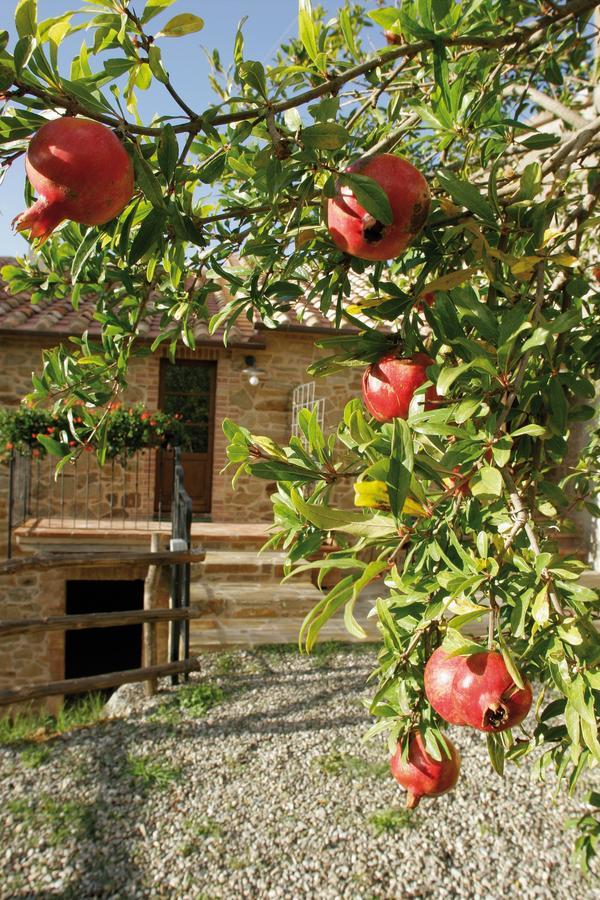 Agriturismo Le Calle Cinigiano Exterior foto